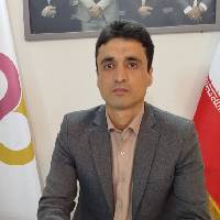 مجتبی رستمی